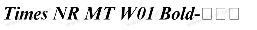 Times NR MT W01 Bold字体转换